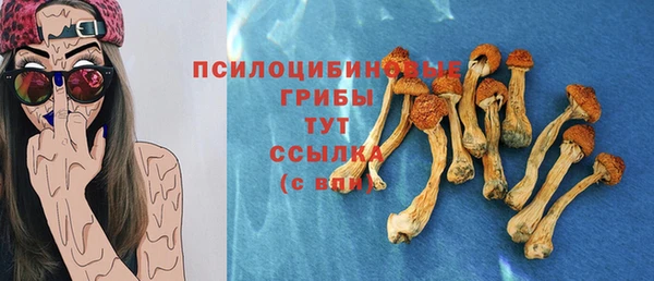 сатива Протвино