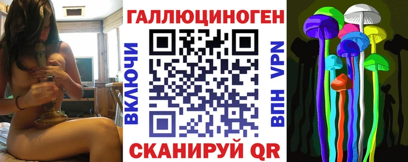 как найти закладки  Ясногорск  Псилоцибиновые грибы Psilocybine cubensis 